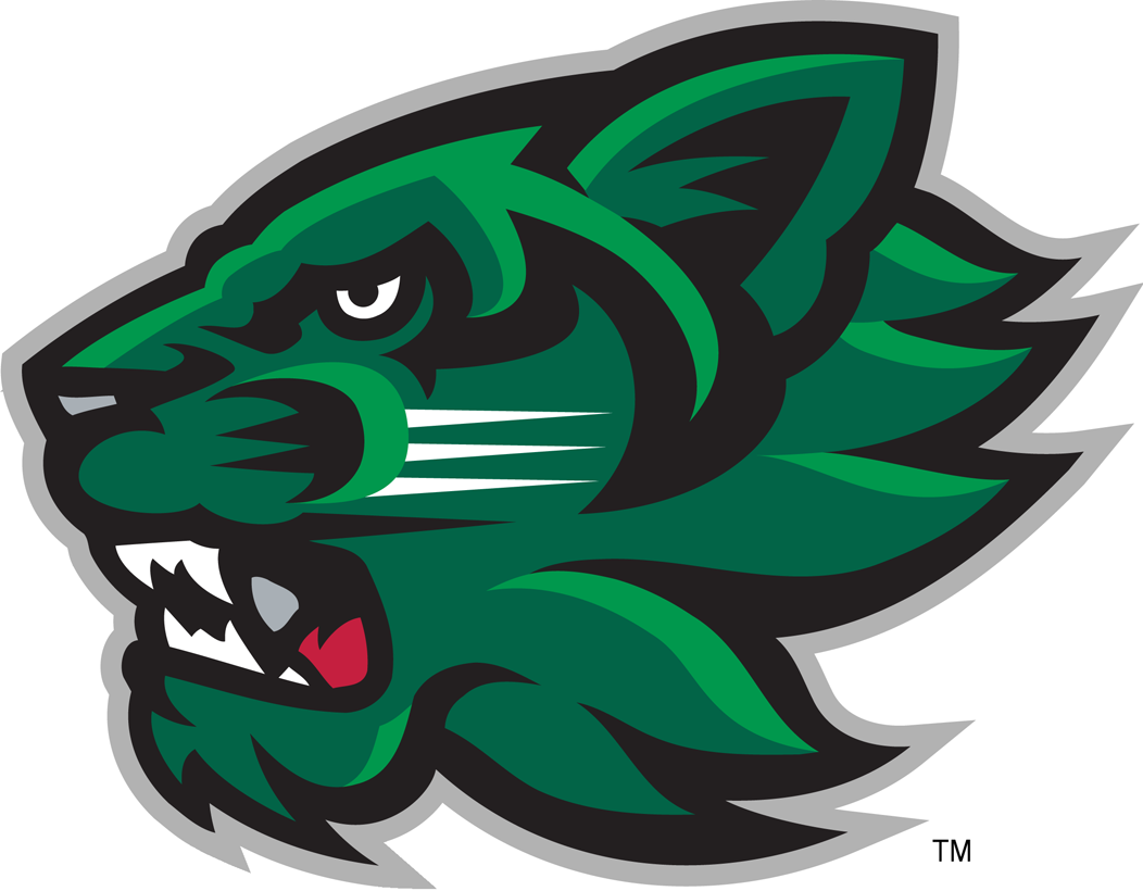 Binghamton Bearcats 2001-Pres Secondary Logo vinyl decal